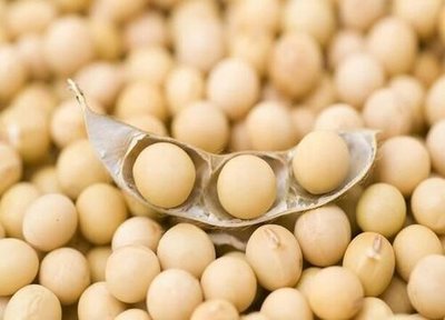 大豆 既是初级农产品，也是重要经济作物