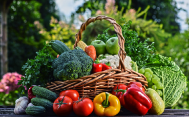 新一代智慧农业标准体系MID 开启初级农产品溯源新场景