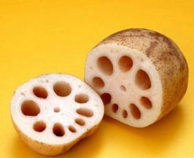 初级农产品的定义、特点与市场意义