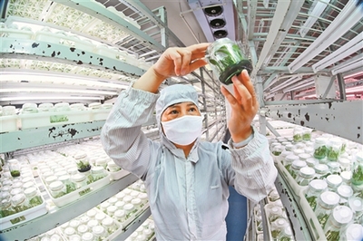 云南加快构建现代化产业体系，打造经济高质量发展新引擎