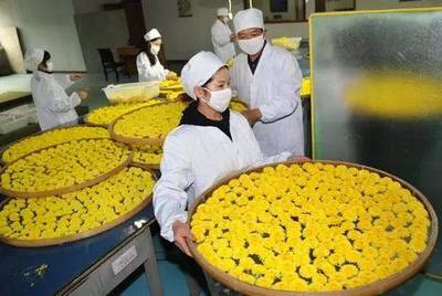 特色农业 初级农产品的致富“金钥匙”